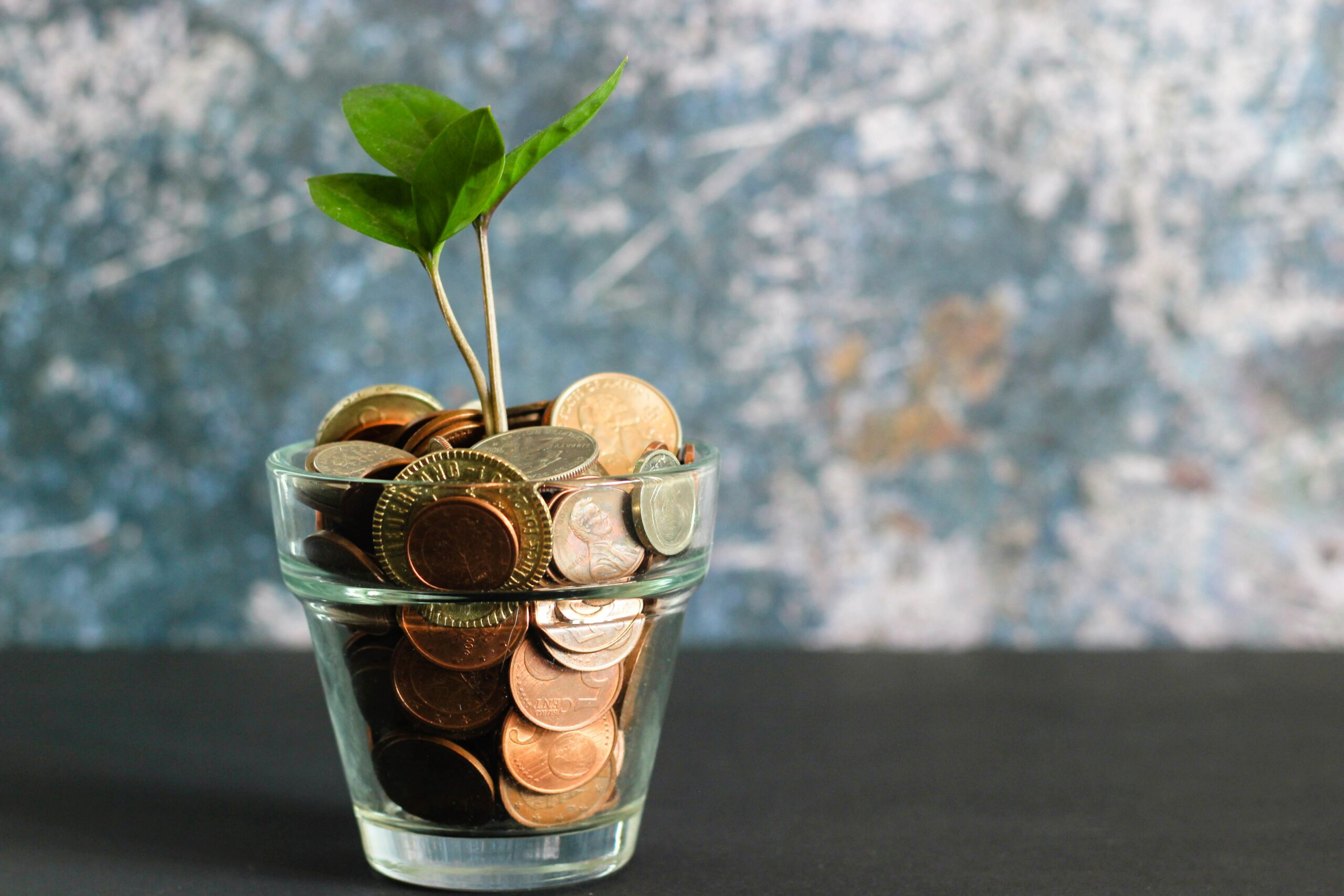 equity crowdfunding comment ça marche
