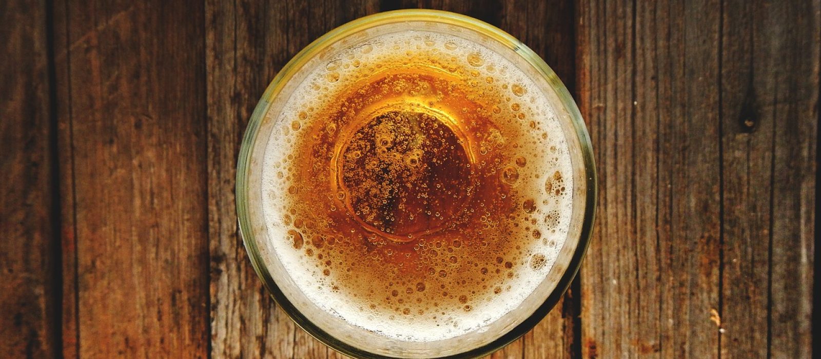 crowdfunding success brewdog