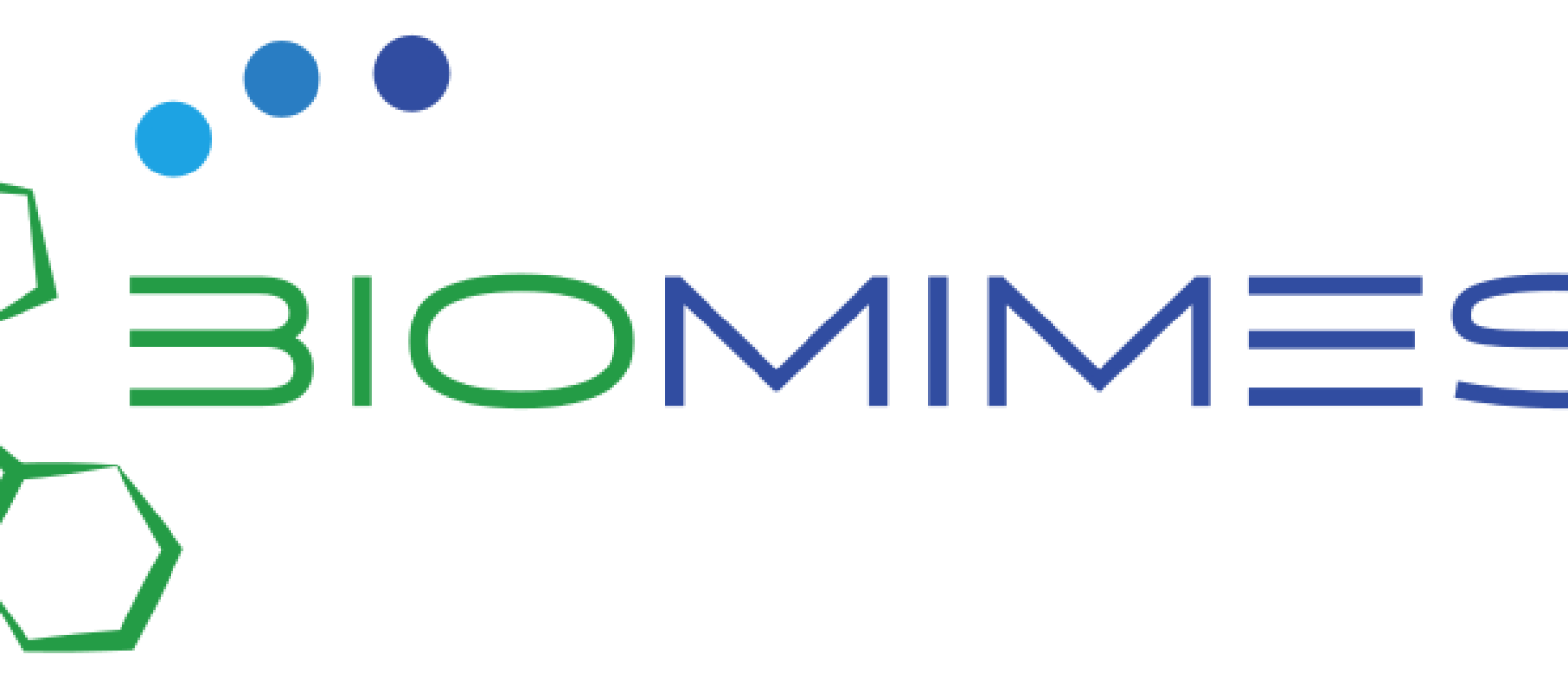 biomimesi logo