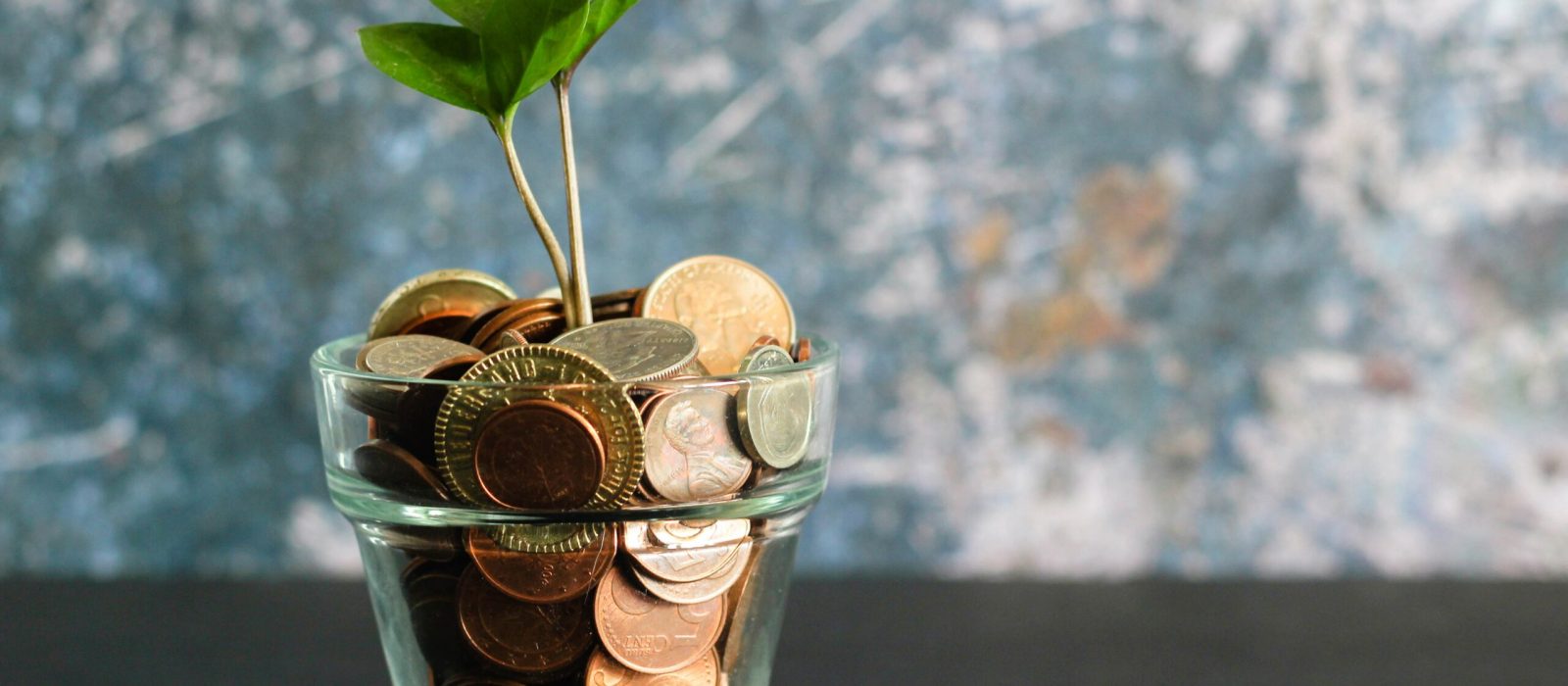 equity crowdfunding how it works