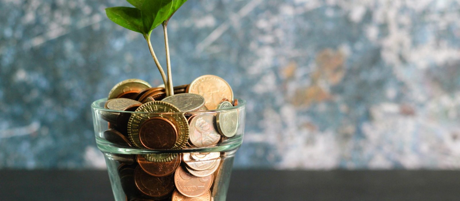 equity crowdfunding how it works