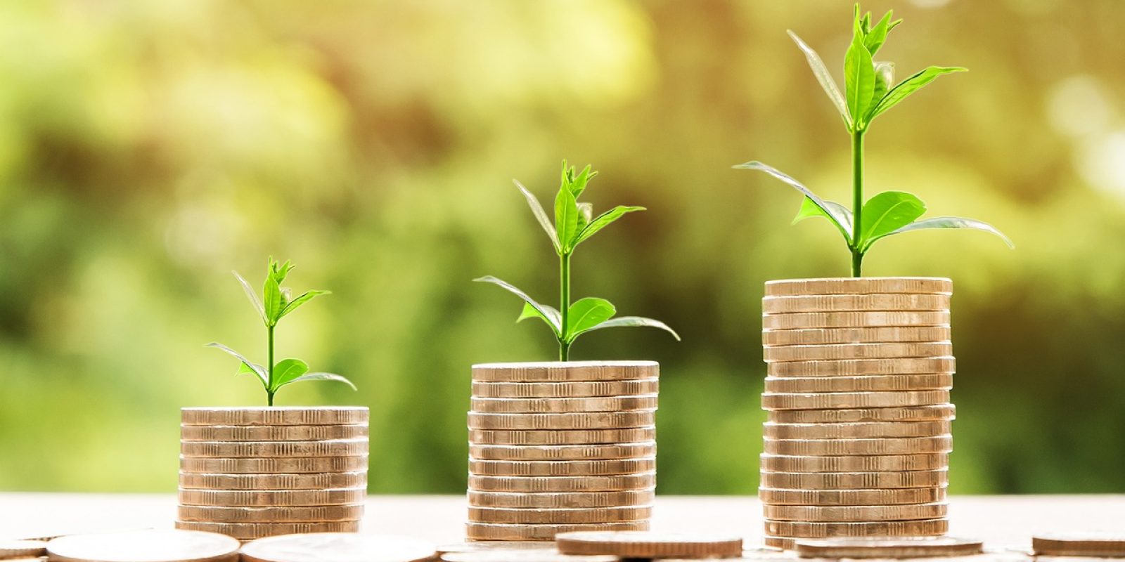 sfp et equity crowdfunding