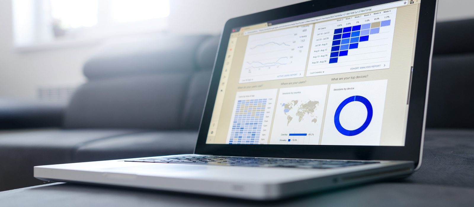 startup evaluation